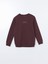 Yeni Sezon Bisiklet Yaka Baskılı Erkek Kalın Sweatshirt 5