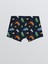 Yeni Sezon Dinozor Baskılı Erkek Çocuk Boxer 3'lü 5
