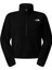 Glacier Fleece 1/2 Zip Short Kadın Siyah Outdoor Polar NF0A8D2CJK31 5