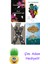 Jeff Vandermeer 4 Kitap Seti + Çim Adam Hediye 1