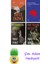 Yavuz Ekinci 4 Kitap Seti + Çim Adam Hediye 1