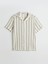 Yeni Sezon Regular Fit Kısa Kollu Çizgili Erkek Gömlek 5