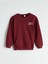 Yeni Sezon Bisiklet Yaka Erkek Çocuk Sweatshirt 1