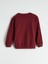 Yeni Sezon Bisiklet Yaka Erkek Çocuk Sweatshirt 3