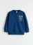 Yeni Sezon Baskılı Erkek Çocuk Sweatshirt 2'li 3