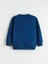 Yeni Sezon Baskılı Erkek Çocuk Sweatshirt 2'li 5