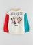 Yeni Sezon Peanuts Baskılı Erkek Çocuk Sweatshirt 1