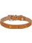 Cattie Gerçek Deriden Taşlı Kedi Boyun Tasması Medium Camel 1X20-23 cm - Petshopundan 1