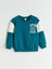 Yeni Sezon Bisiklet Yaka Baskılı Erkek Çocuk Sweatshirt 4