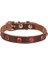 Cattie Gerçek Deriden Taşlı Kedi Boyun Tasması Medium Kahverengi 1X20-23 cm - Petshopundan 1