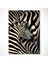 “zebra Portresi – Siyah Beyaz Modern Sanat Tablosu” 2