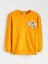 Yeni Sezon Bisiklet Yaka Nostaljik Maymun Baskılı Erkek Çocuk Sweatshirt 2