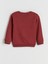 Yeni Sezon Yazı Baskılı Erkek Çocuk Sweatshirt 2