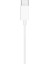 Earpods (Usb-C) 3