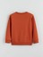 Yeni Sezon Bisiklet Yaka Erkek Çocuk Sweatshirt 2'li 4