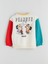 Yeni Sezon Peanuts Baskılı Erkek Çocuk Sweatshirt 4