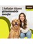 Kedi ve Köpek Kalça ve Eklem Sağlığı Desteği - Ağrı Yönetimi- Sağlıklı Yaşlanma 8