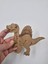 5 Adet Sevimli Dinozor Model 8 Ahşap Boyama Okul Diy Etkinlik Aktivite Sanat 15 cm x 11 cm 2