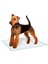 Yumuşak Köpek Tuvalet Pedi 10'lu Büyük Boy 60X90 cm 2