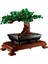 10281 LEGO Icons - Bonzai Ağacı 878 Parça +18 Yaş 2
