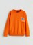 Yeni Sezon Bisiklet Yaka Erkek Çocuk Sweatshirt 1