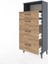 Hyperion Dolap Tek Raflı 4 Çekmeceli 60X44X134 Antrasit-Çam 4
