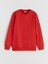 Yeni Sezon Bisiklet Yaka Erkek Çocuk Sweatshirt 2