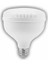 Cata Ct 4135 Kristal 35W Torch LED Ampul 6400K Beyaz Işık 1