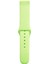 CPT16 Watch 20MM Klasik Kordon - Açık Yeşil 2