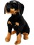 Sunman Oturan Rottweiler Peluş 68 Cm. 1