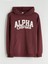 Yeni Sezon Kapüşonlu Erkek Çocuk Sweatshirt 1