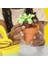 G0492 Play-Doh Renkli Çiçekler Botanik Oyun Seti +3 Yaş 4