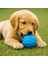 Petzoom Dikenli Köpek Oyun Topu 3