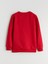 Yeni Sezon Bisiklet Yaka Yılbaşı Temalı Erkek Çocuk Sweatshirt 4