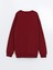 Yeni Sezon Bisiklet Yaka Erkek Çocuk Sweatshirt 3