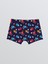 Yeni Sezon Beli Lastikli Erkek Çocuk Boxer 1