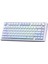 F75 Mekanik Rgb Tkl Gray Switch Kablosuz Makrolu Hot Swap Klavye Buz Mavisi 1