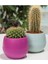 Bitki ve Kaktüs Saksısı 0,13 Lt 1 No ROYALEKS-ES01 1