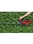 Einhell Gc Ch 1855/1 Li Solo Çit Budama Aküsüz 3