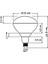250W Infrared Şeffaf Ampul E27 2