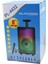 Bluetooth Mikrofon - Kumandalı Speaker Işıklı 2400MAH 256X228X421MM 20W - 100HZ-20KHZ - 85DB PL-4432 (5067) 1