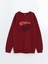 Yeni Sezon Bisiklet Yaka Erkek Çocuk Sweatshirt 1