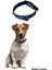 Yumuşak Dokulu Deri Köpek Gezdirme Boyun Tasması (Large) (4172) 3