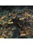 Games Pandemic Reign Of Cthulhu Board Game - Versiyon. 2