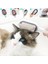 Su Hazneli Kedi ve Köpek Tüyü Toplamama Fırçası Su Hazneli Pet Tarağı (4172) 3