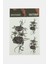 Gül Tattoo Dövme Sticker 1