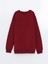 Yeni Sezon Bisiklet Yaka Erkek Çocuk Sweatshirt 3