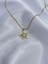 Starry Charm Kolye 4