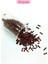 Uzun Boru Kesme Boncuk Çap 2mm Uzunluk 10 mm - 4 Renk - Toplam 80 Gram - BNC432 3