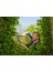 Gardena 12300-20 Naturecut Çit Makası 3